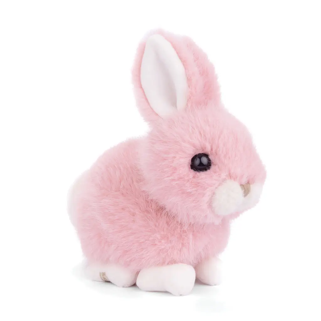 Bukowski Baby Bunny