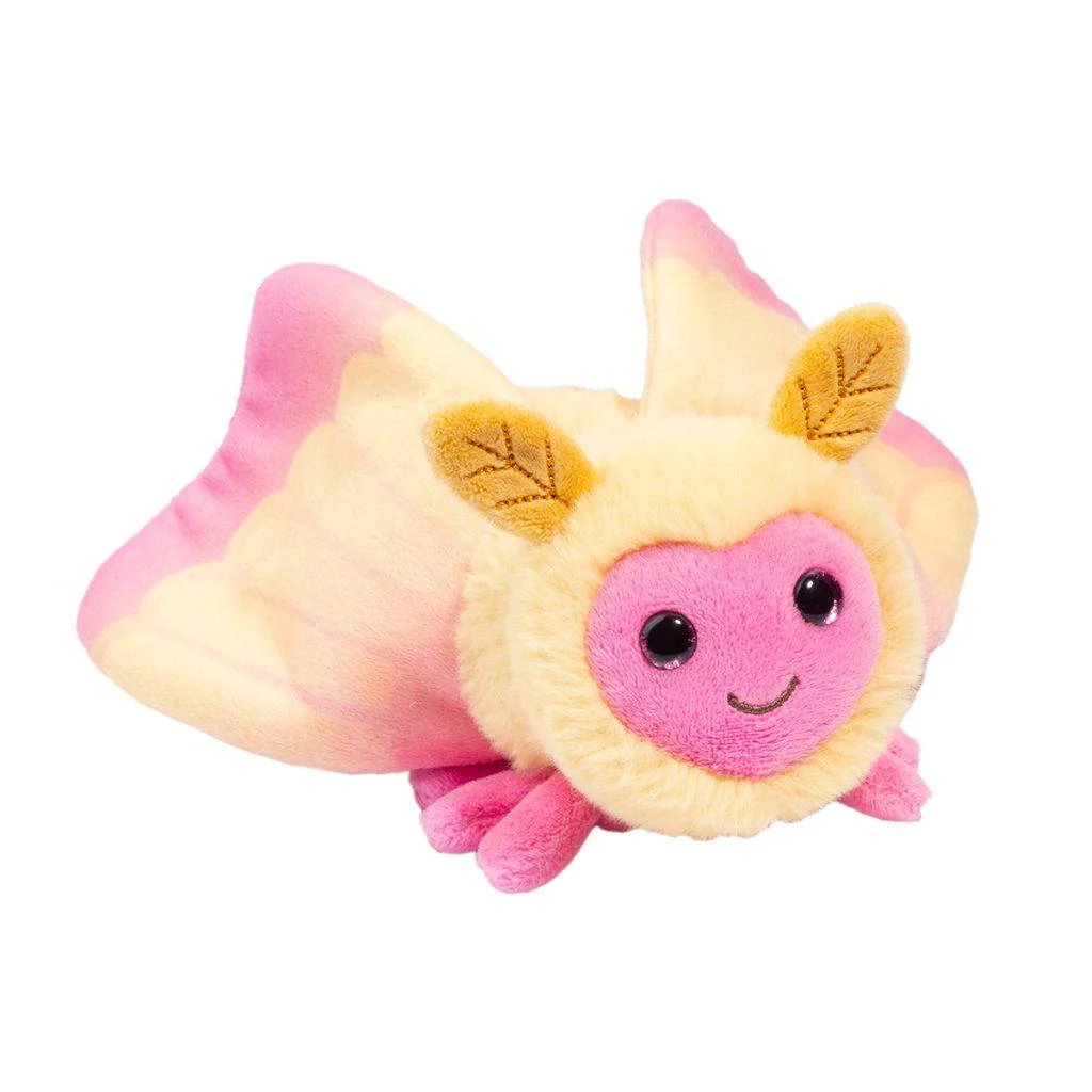 Douglas Rosy Maple Moth - 6.5"