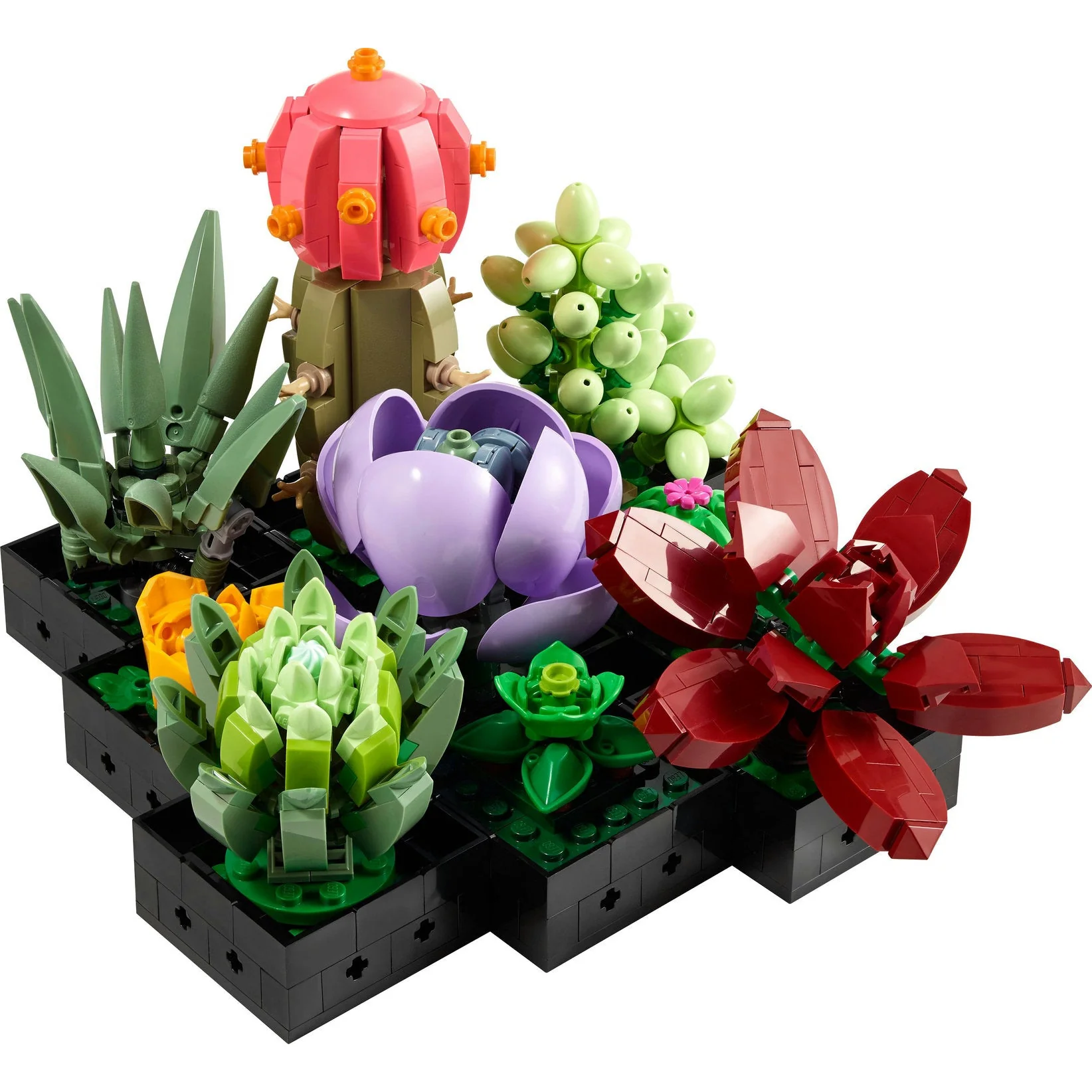 Lego Botanical Collection Succulents - Image 2